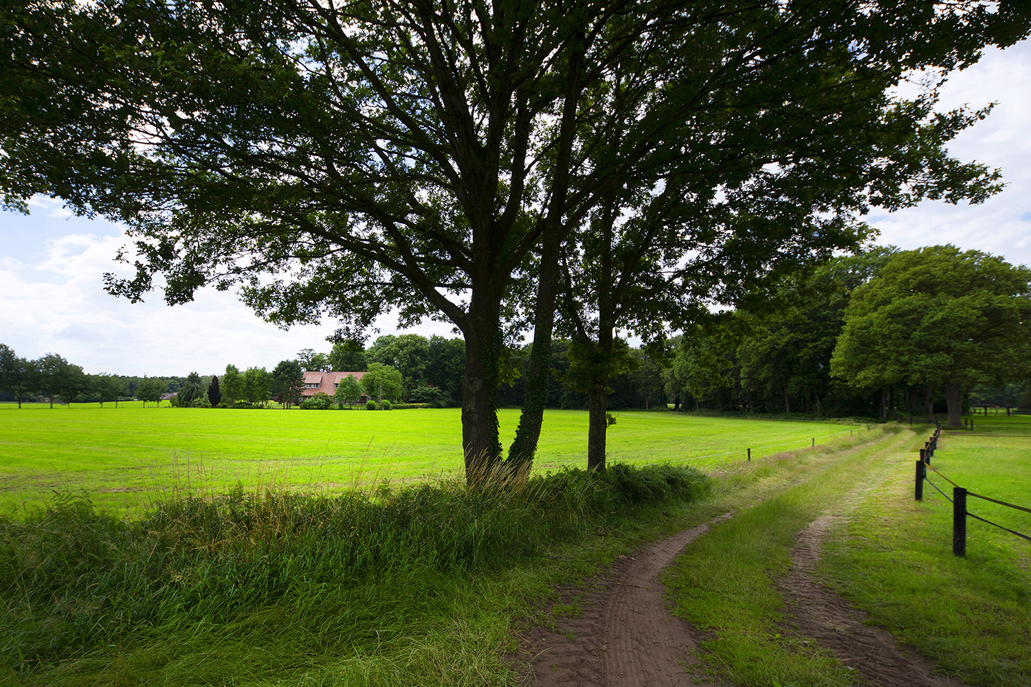 Overig - BEUNINGEN - Lutterzandweg 34