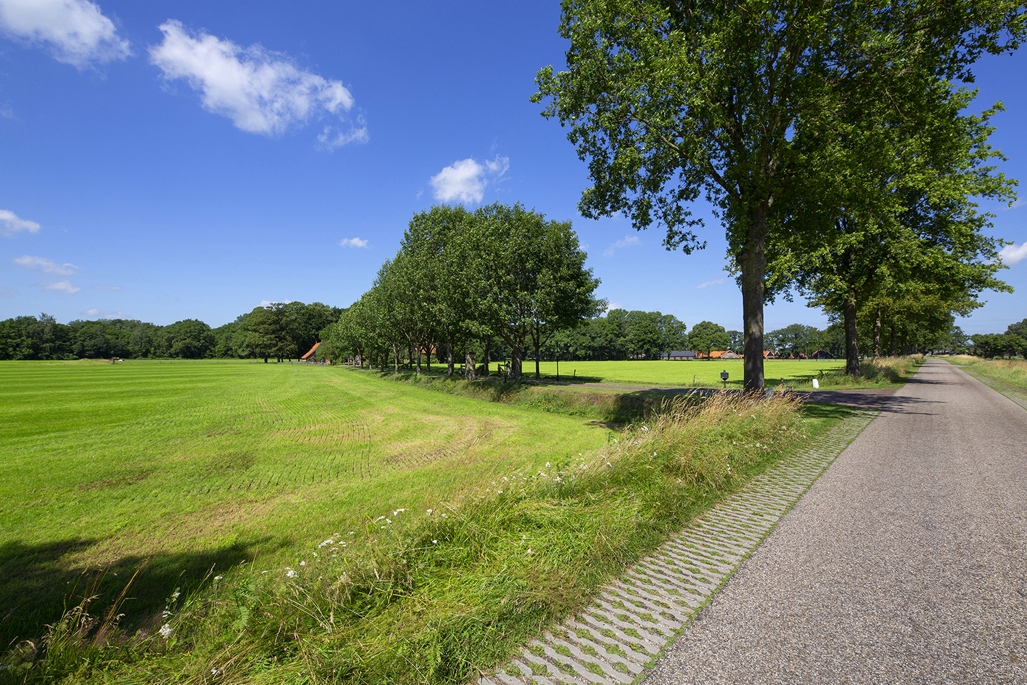 Overig - BEUNINGEN - Lutterzandweg 34