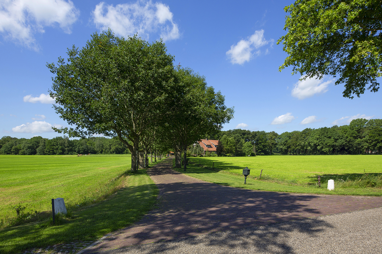 Overig - BEUNINGEN - Lutterzandweg 34