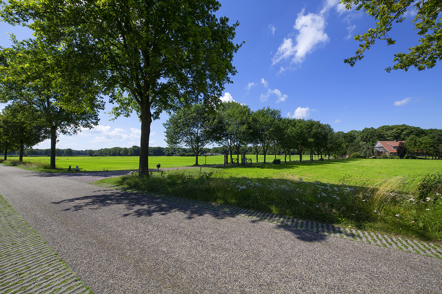 Overig - BEUNINGEN - Lutterzandweg 34
