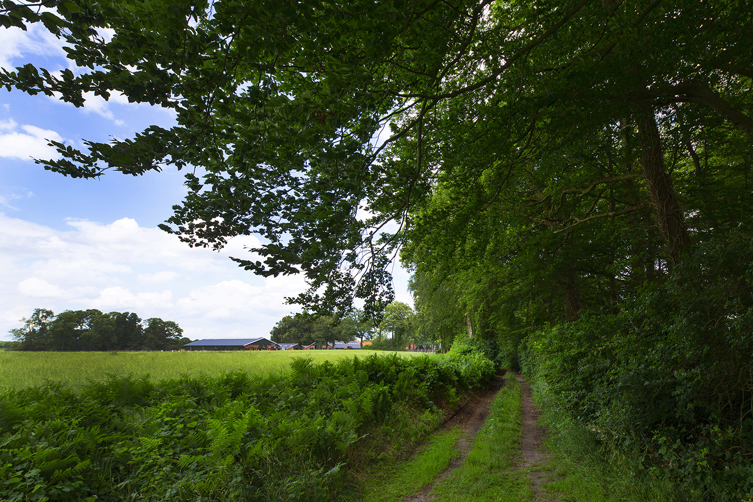 Overig - BEUNINGEN - Lutterzandweg 34