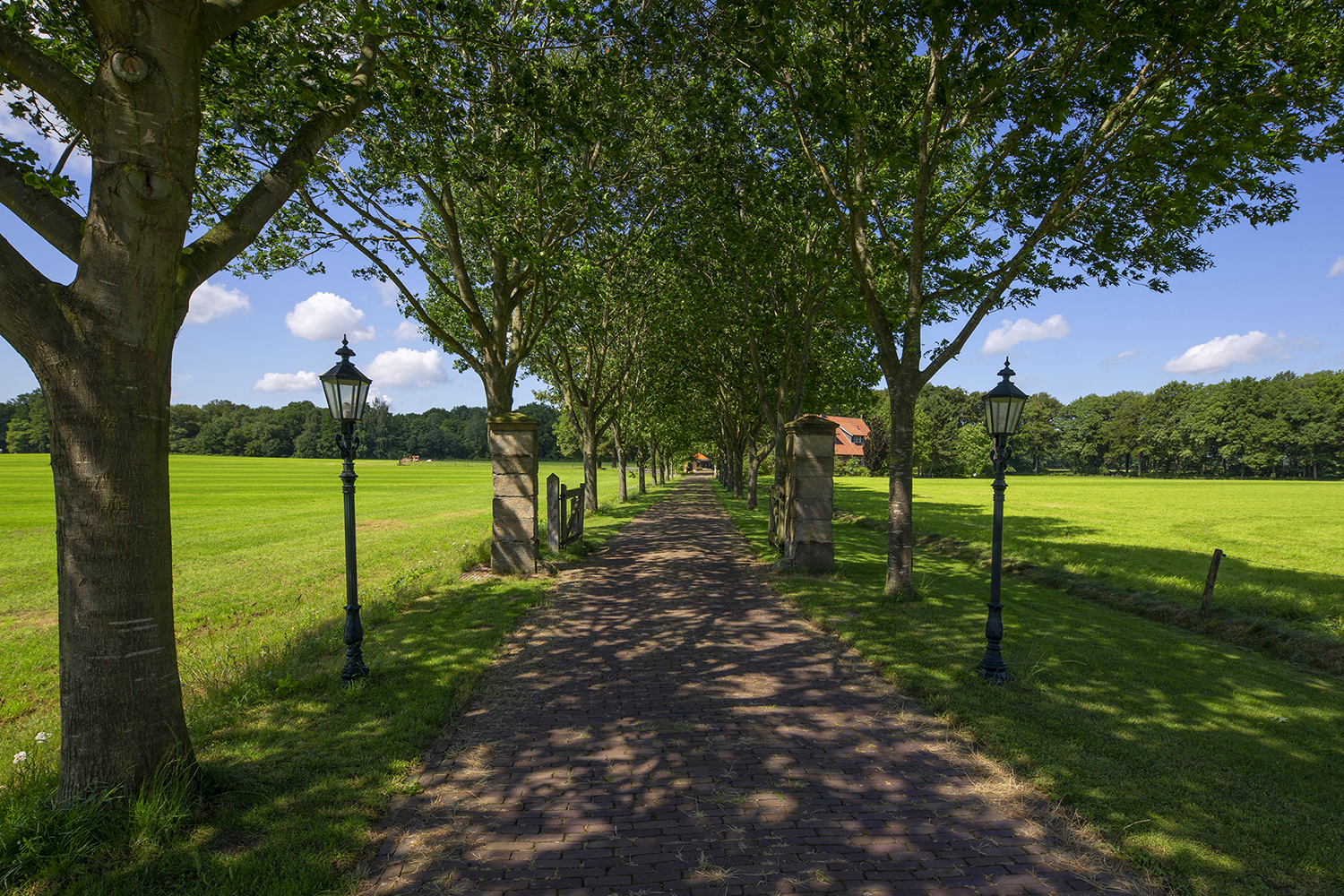 Overig - BEUNINGEN - Lutterzandweg 34