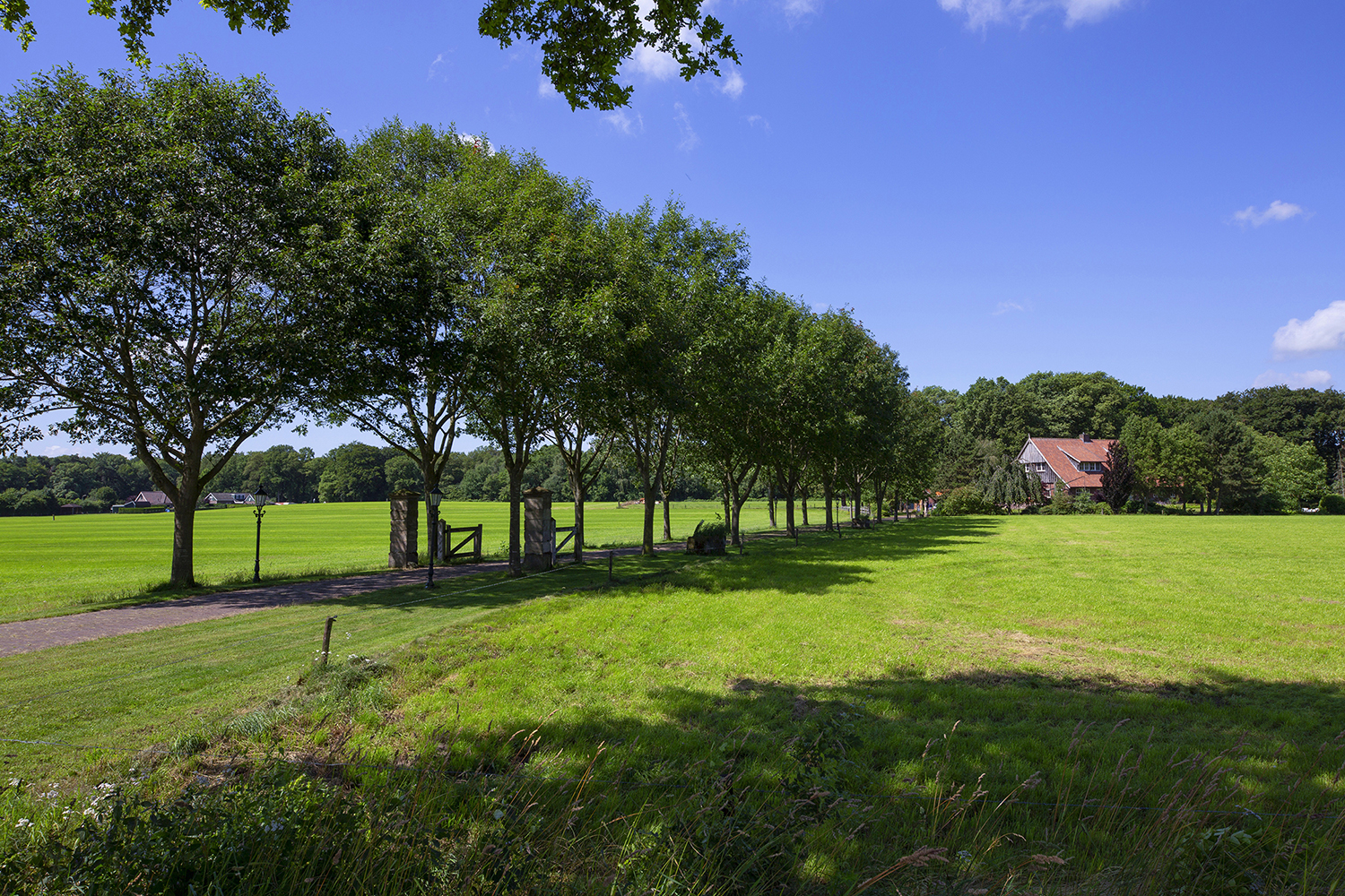 Overig - BEUNINGEN - Lutterzandweg 34