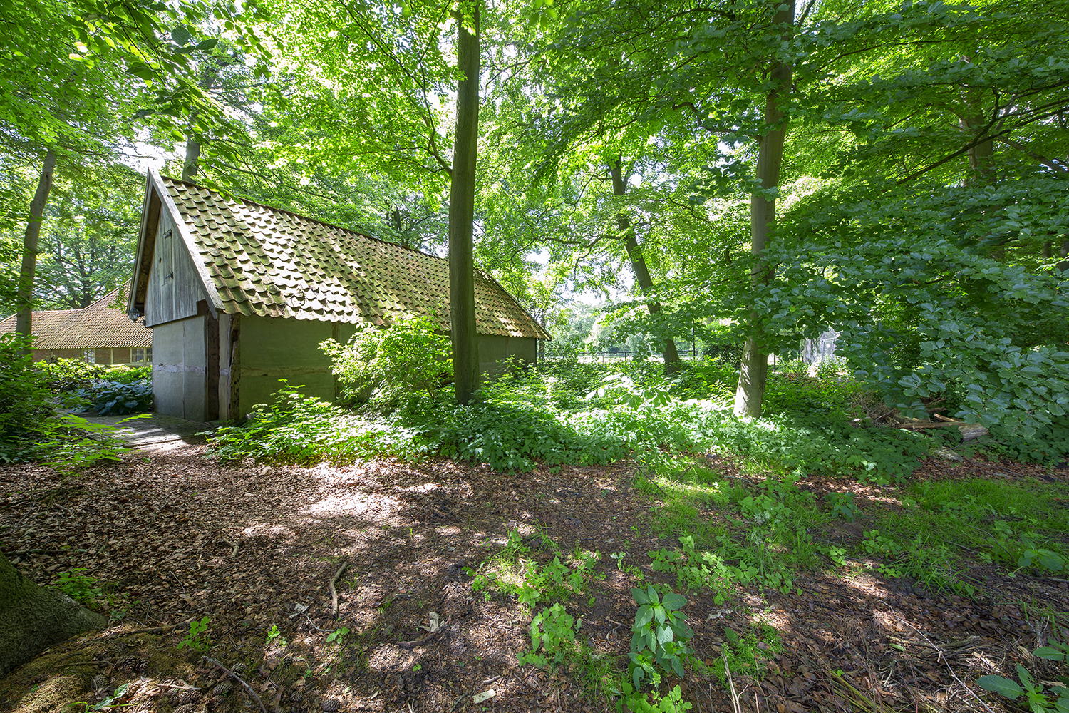 Overig - BEUNINGEN - Lutterzandweg 34