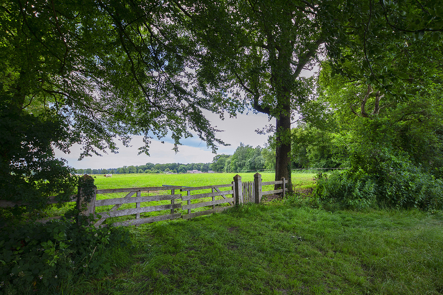 Overig - BEUNINGEN - Lutterzandweg 34