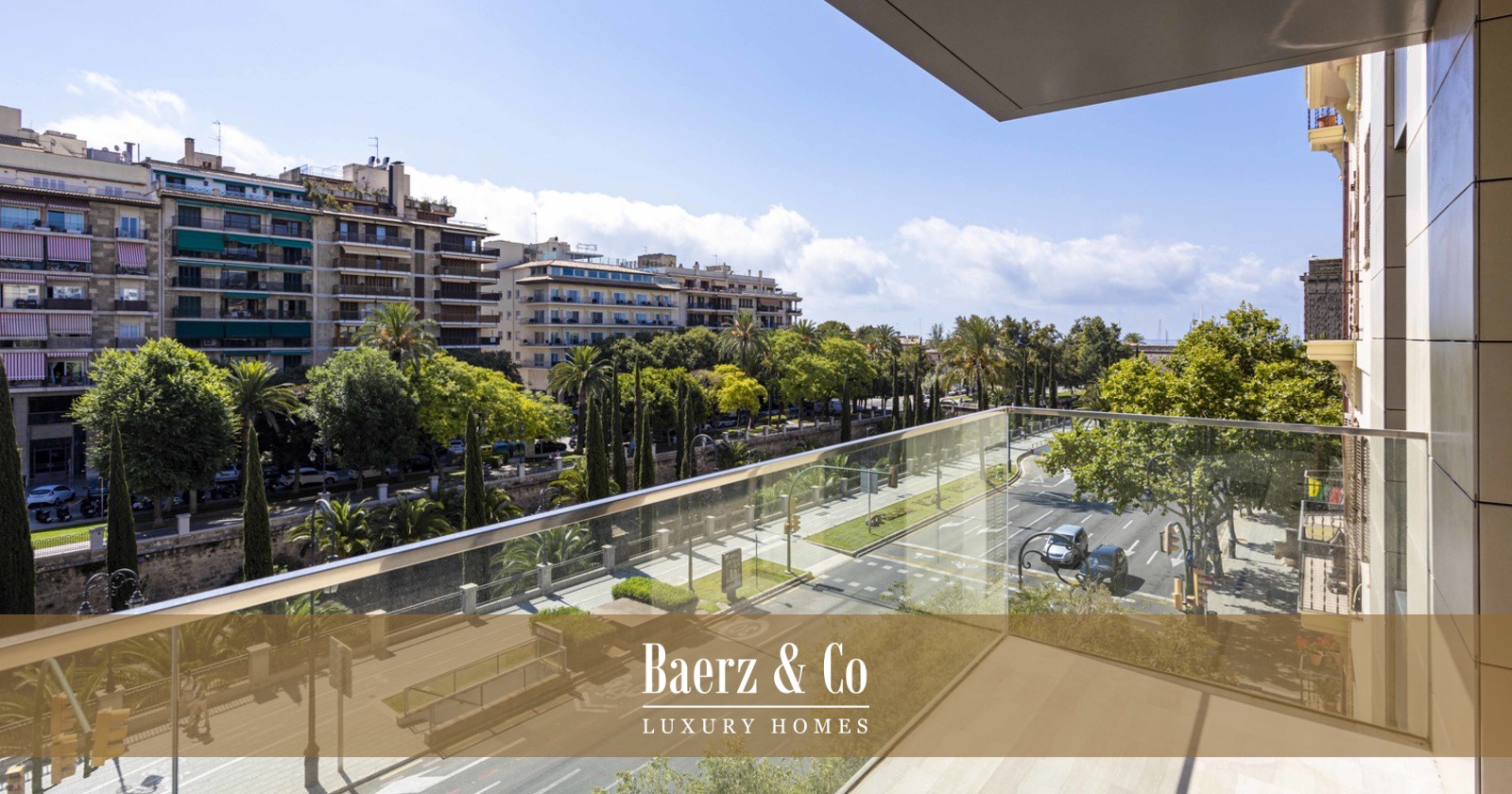 Overig - Palma -  