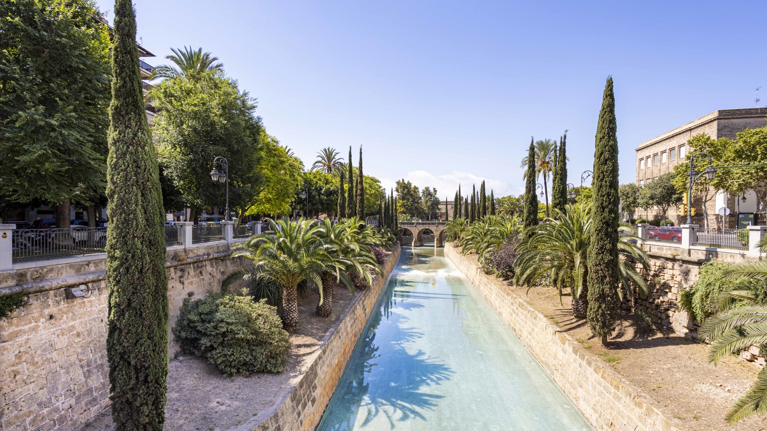 Overig - Palma -  