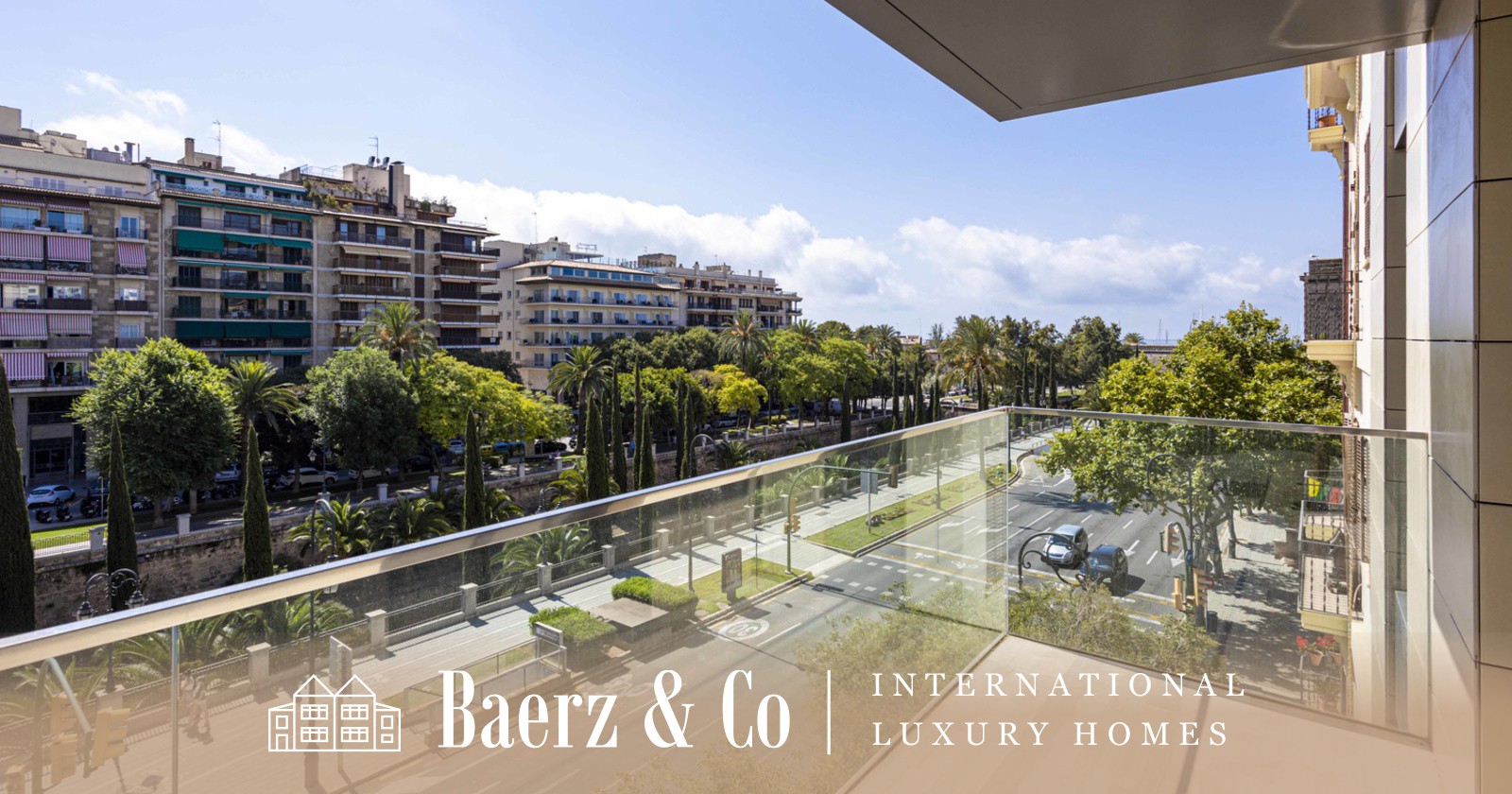 Overig - Palma -  