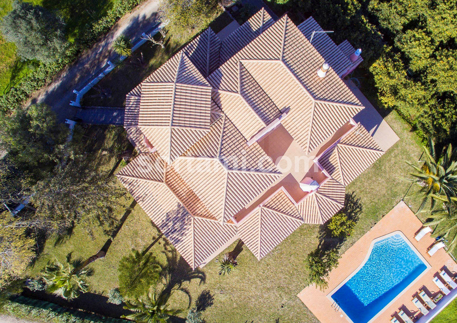 Overig - Boliqueime -  