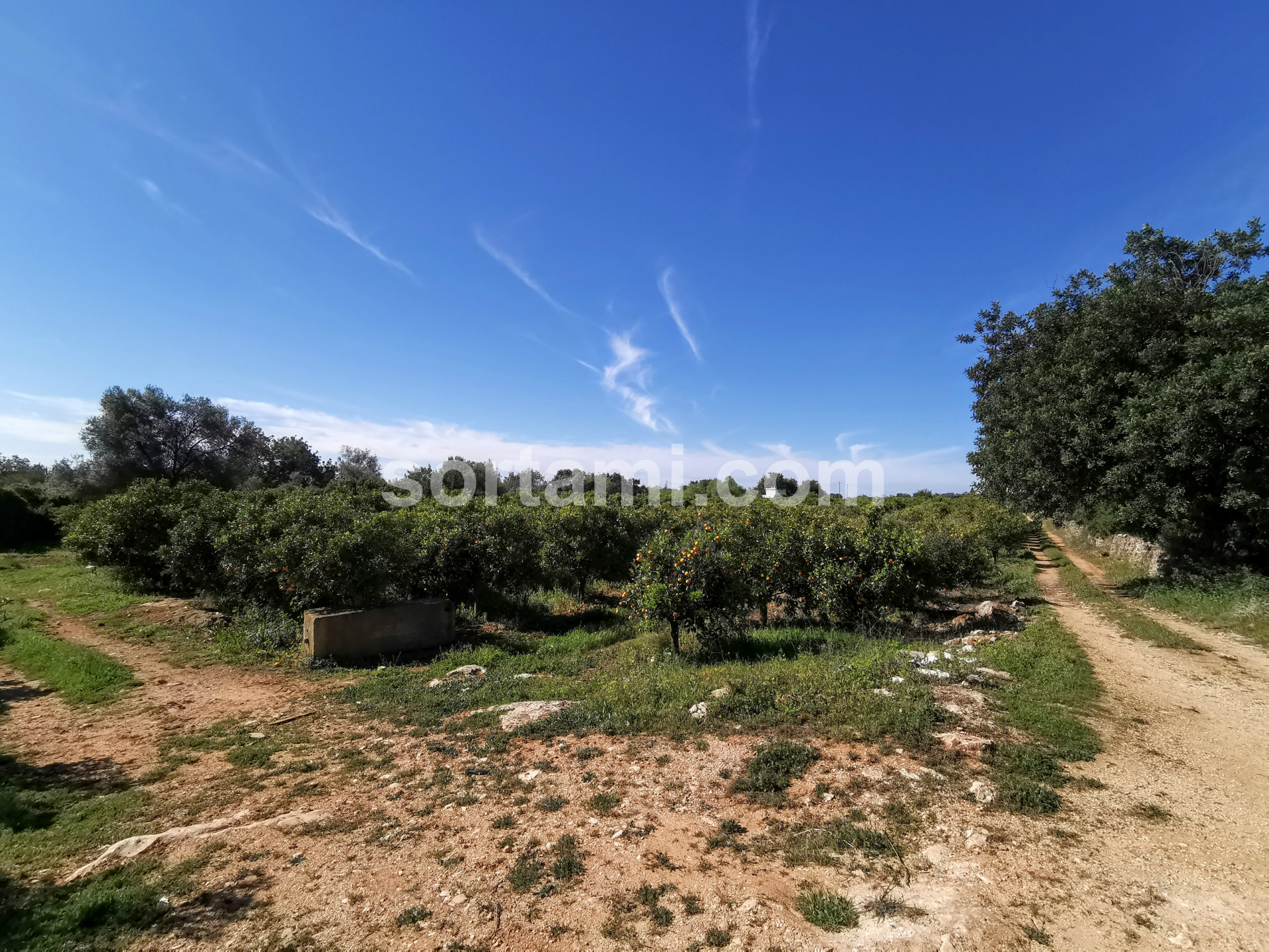 Overig - Boliqueime -  