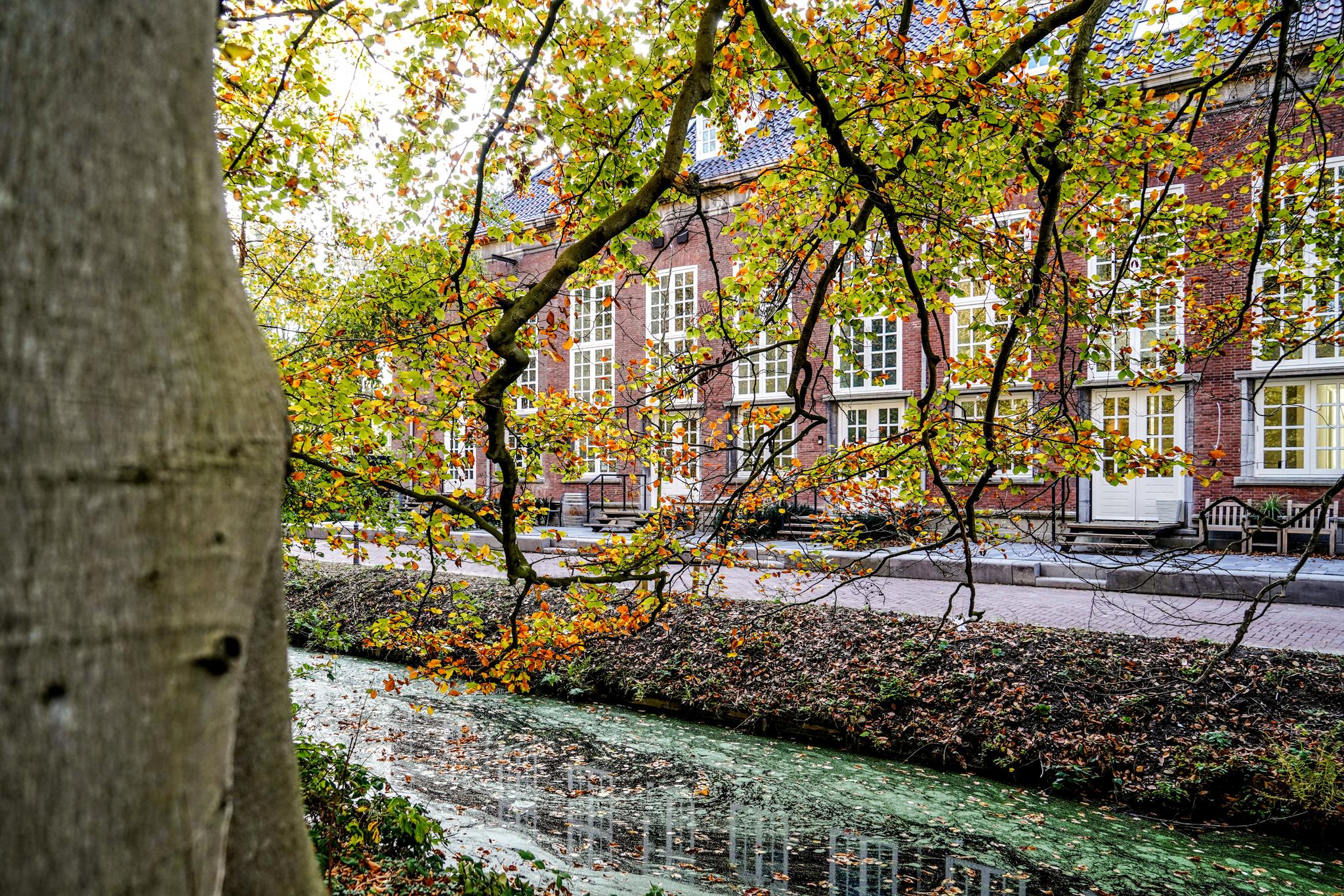 Overig - 'S-GRAVENHAGE - Therese Schwartzestraat 131