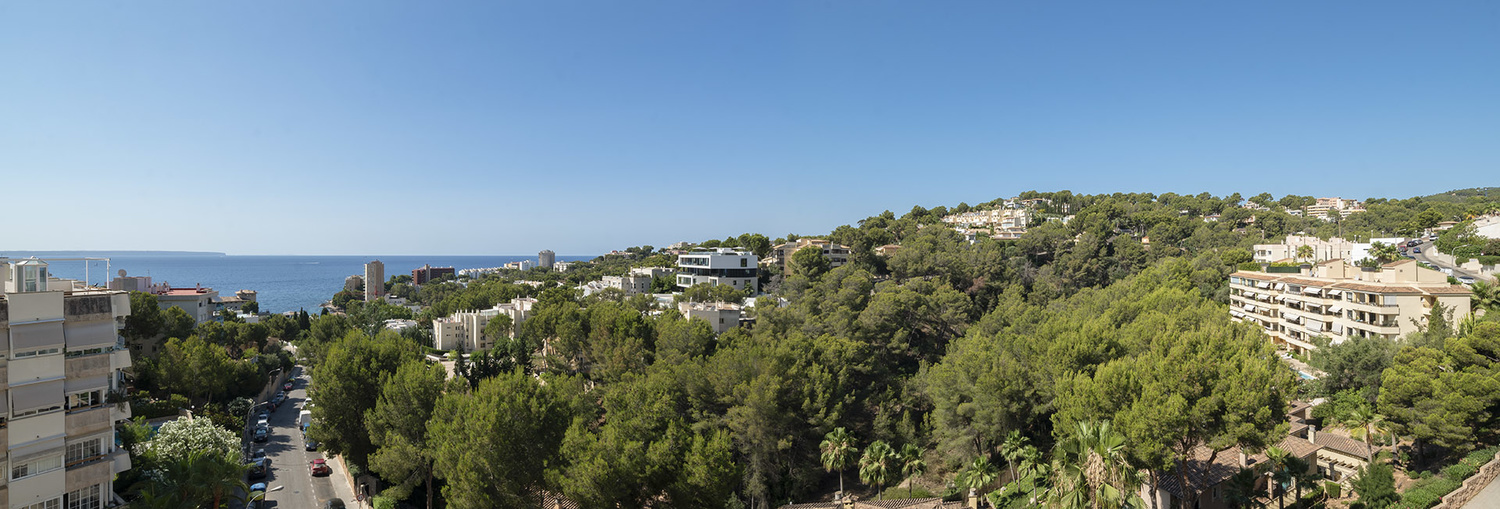 Overig - Cas Catala -  