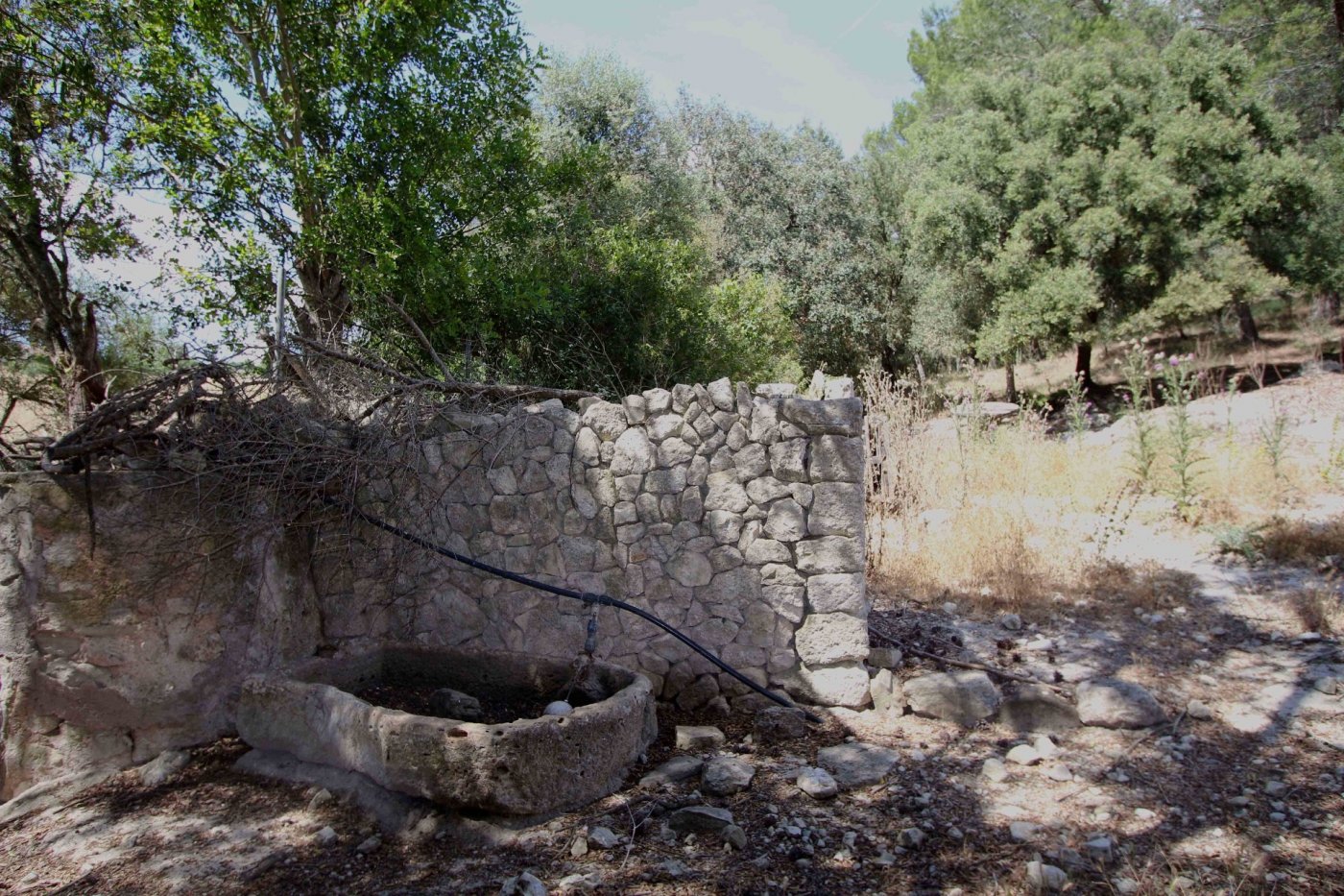 Overig - Montuïri -  