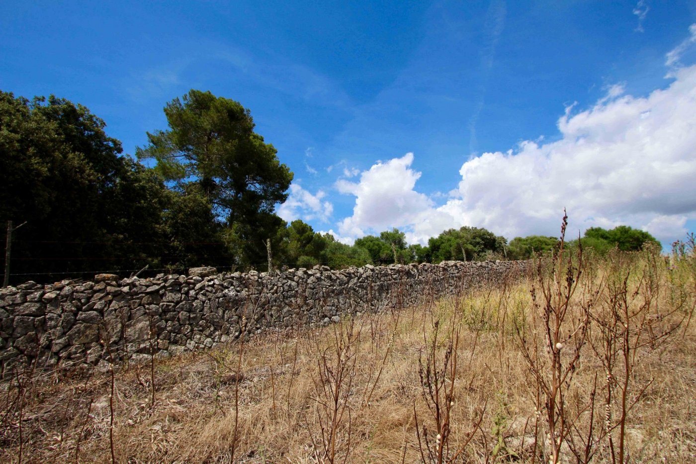 Overig - Montuïri -  