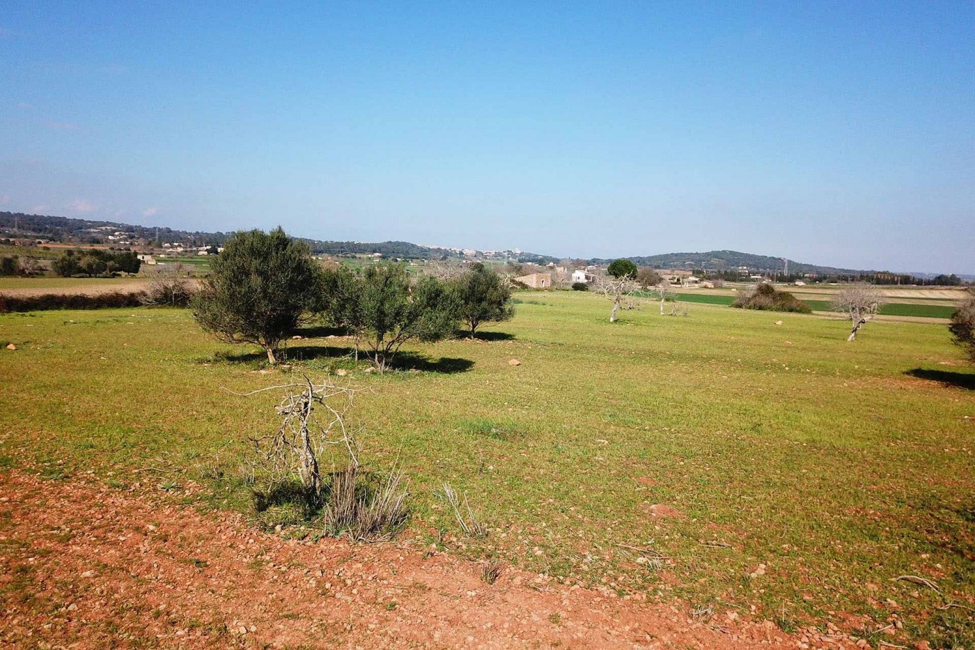 Overig - Sineu -  