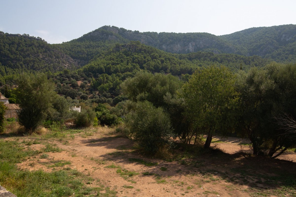 Overig - Andratx -  