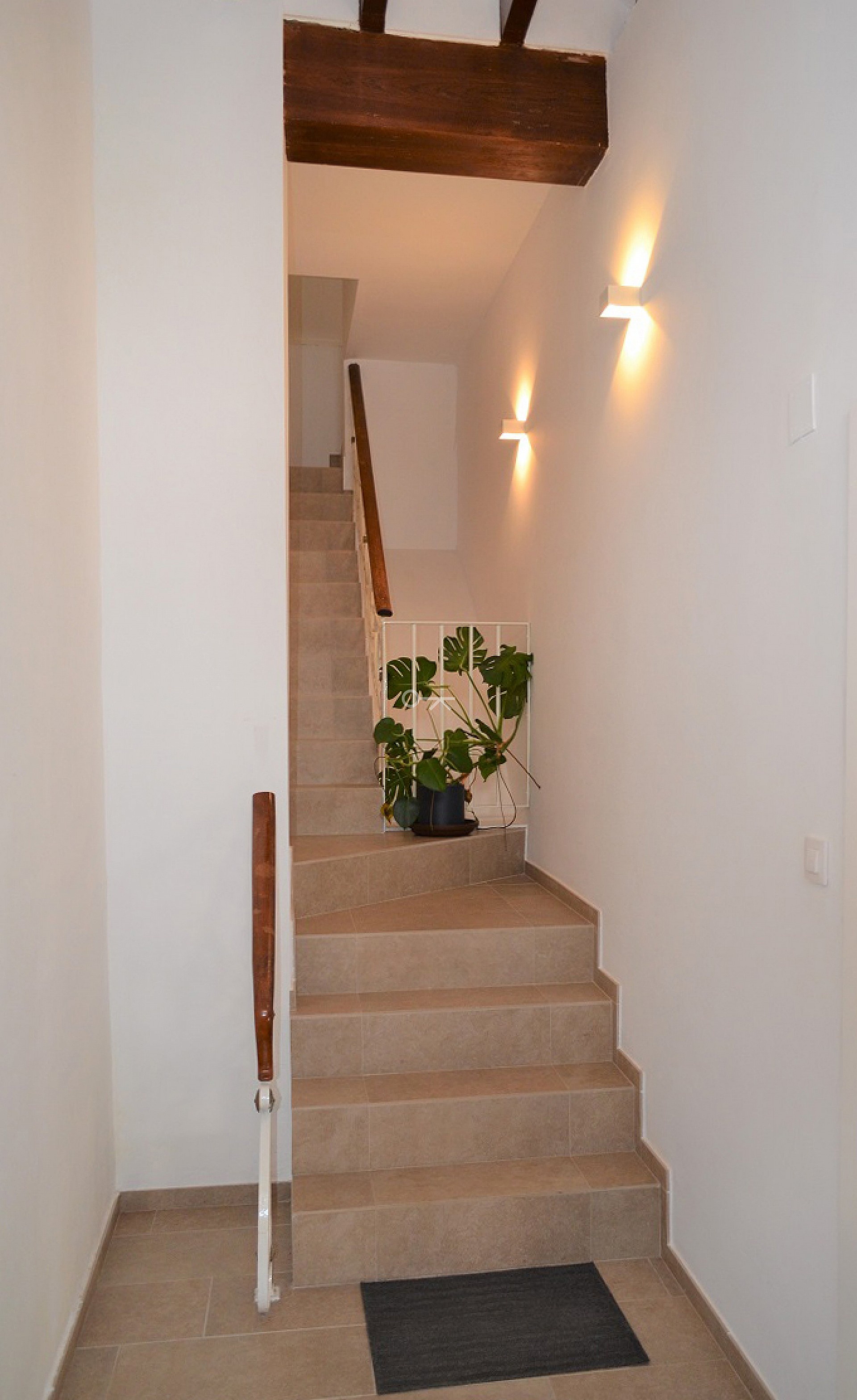 Overig - Oliva -  