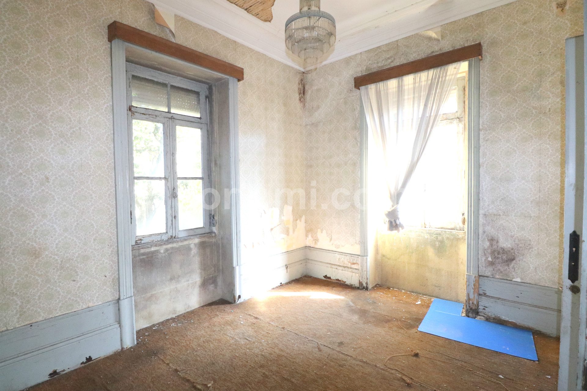 Overig - Canidelo -  