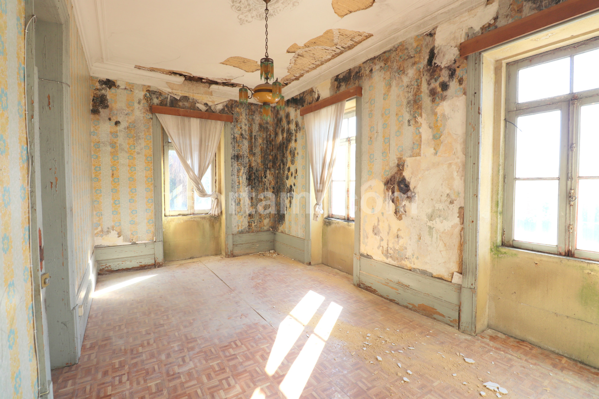 Overig - Canidelo -  