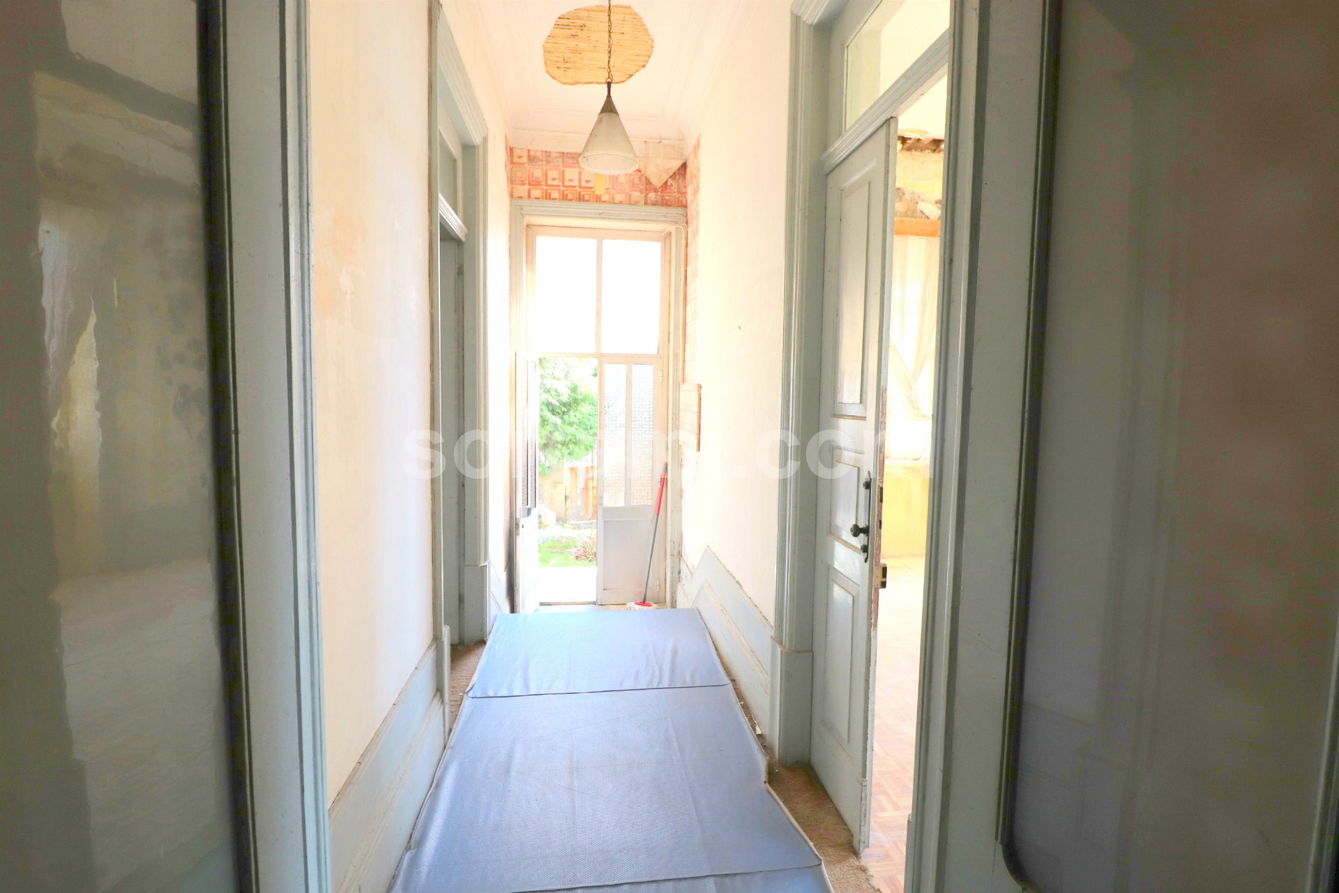 Overig - Canidelo -  