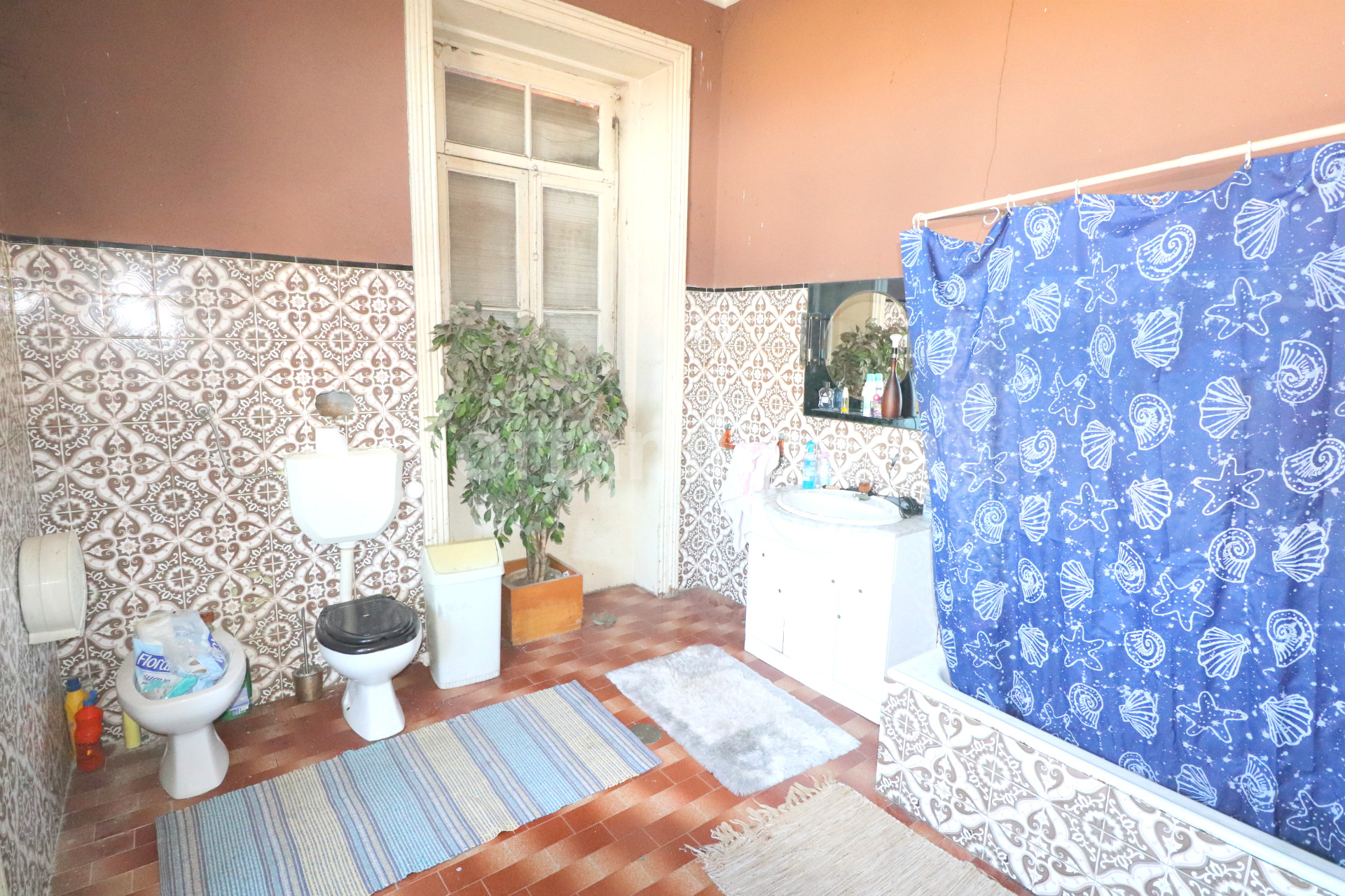 Overig - Canidelo -  