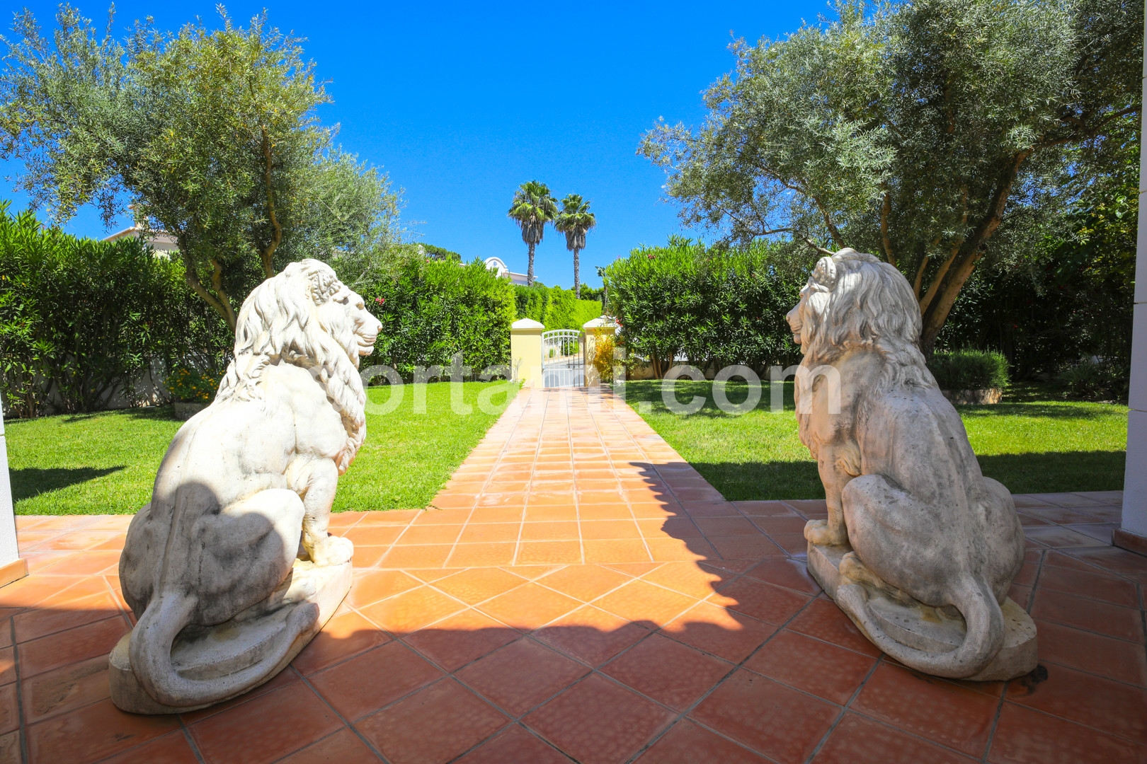 Overig - Almancil -  
