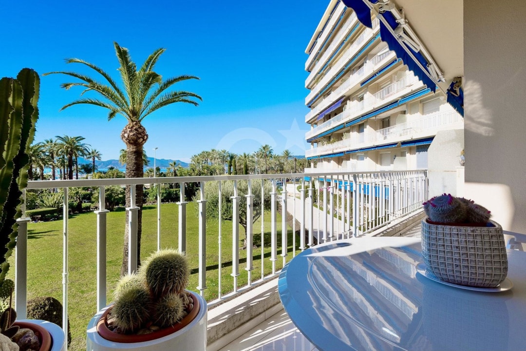 Image of Flat Cannes croisette.