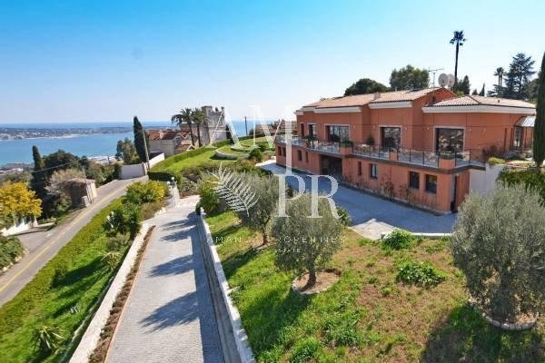 Overig - Cannes -  