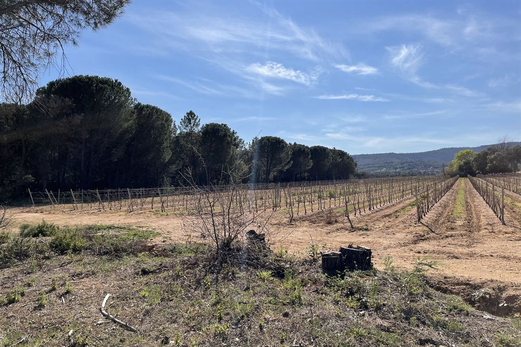 Overig - Cogolin -  