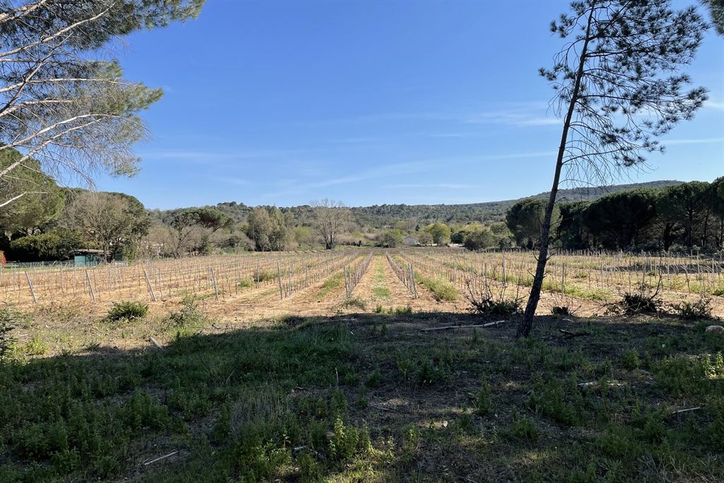 Overig - Cogolin -  