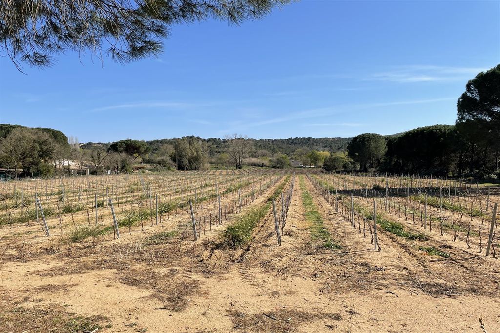 Overig - Cogolin -  