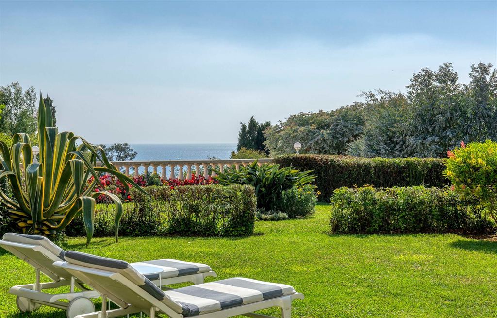 Overig - Cannes -  