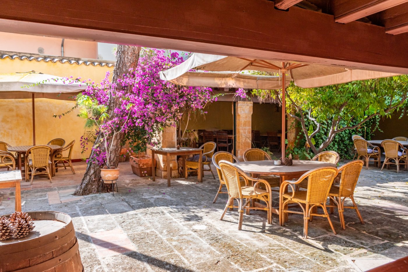 Overig - Palma de Mallorca -  