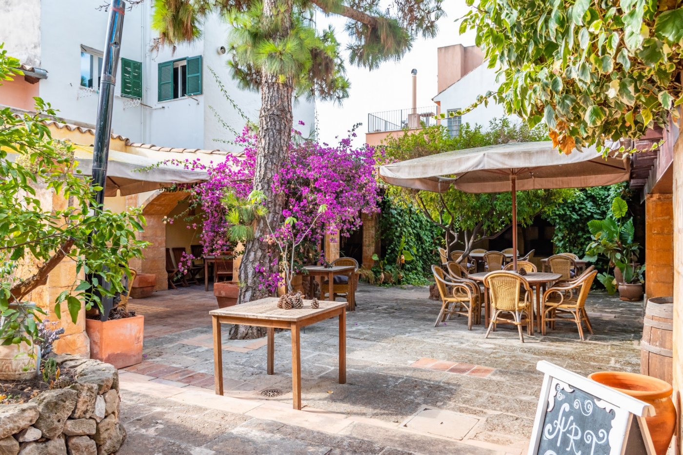 Overig - Palma de Mallorca -  