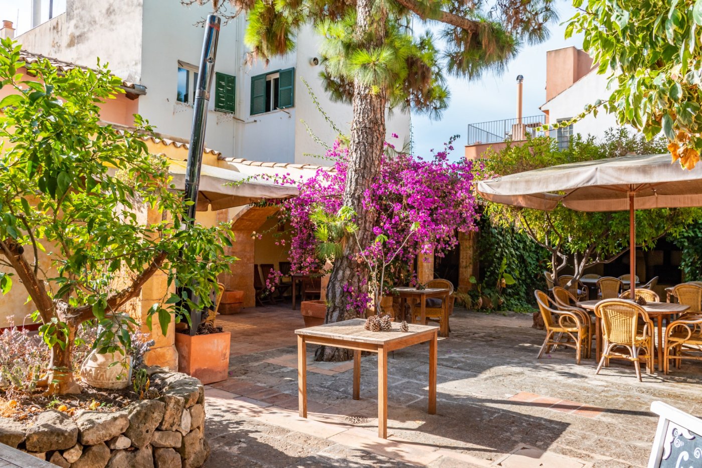 Overig - Palma de Mallorca -  
