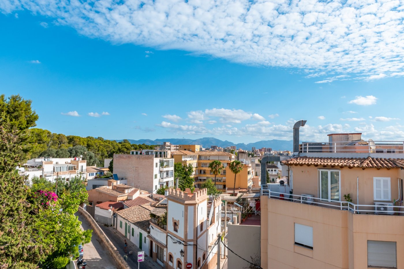 Overig - Palma de Mallorca -  