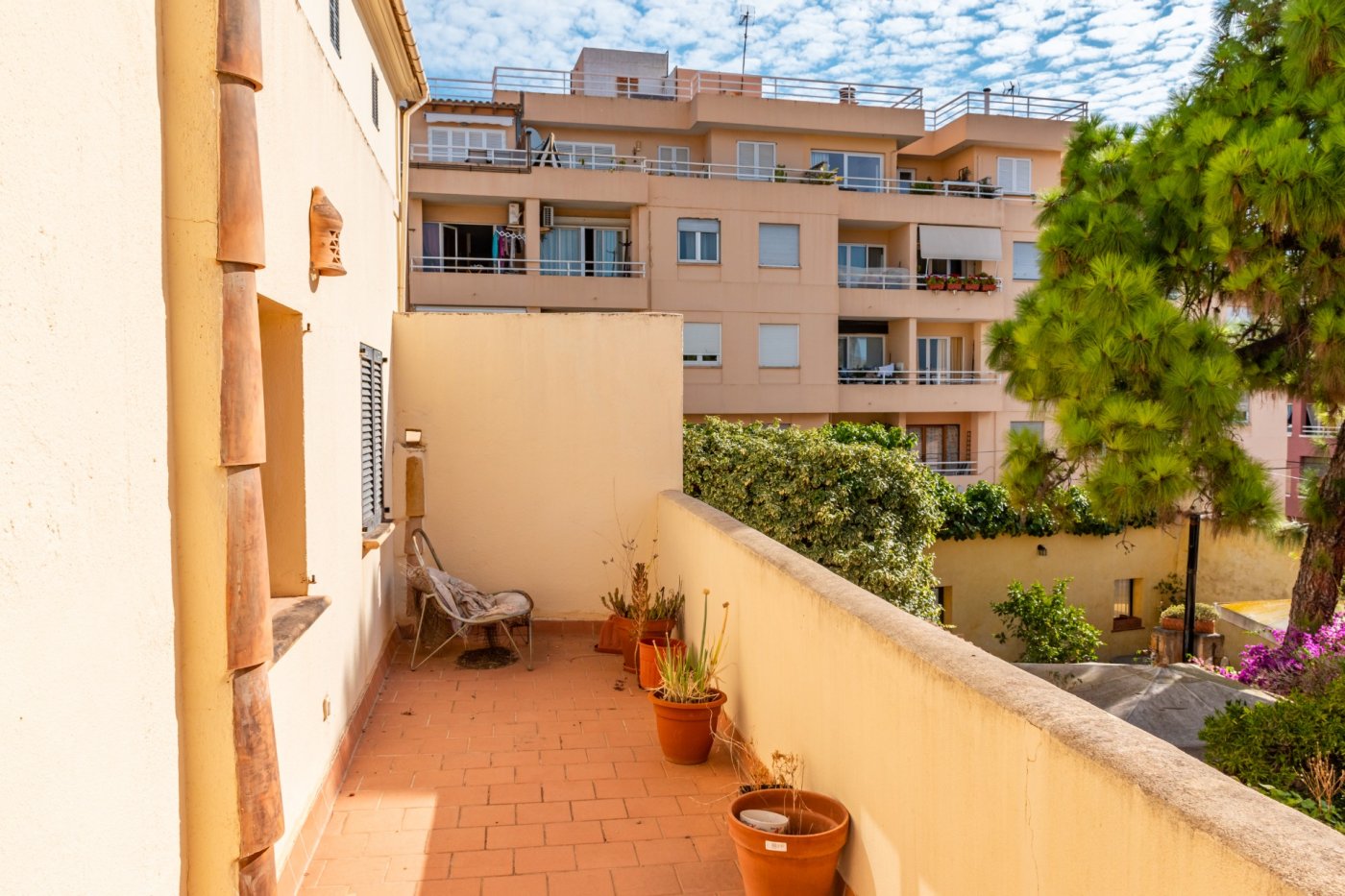 Overig - Palma de Mallorca -  