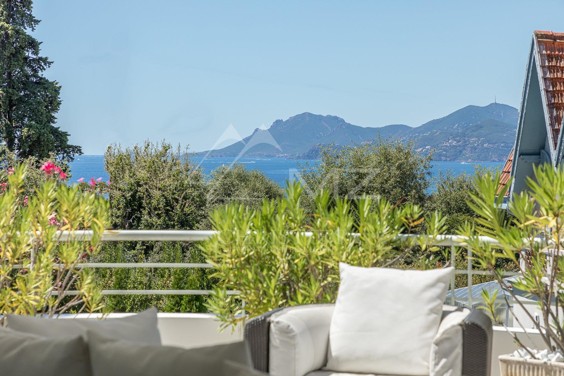 Overig - Cannes -  