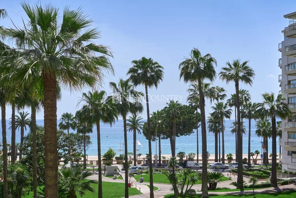 Overig - Cannes -  