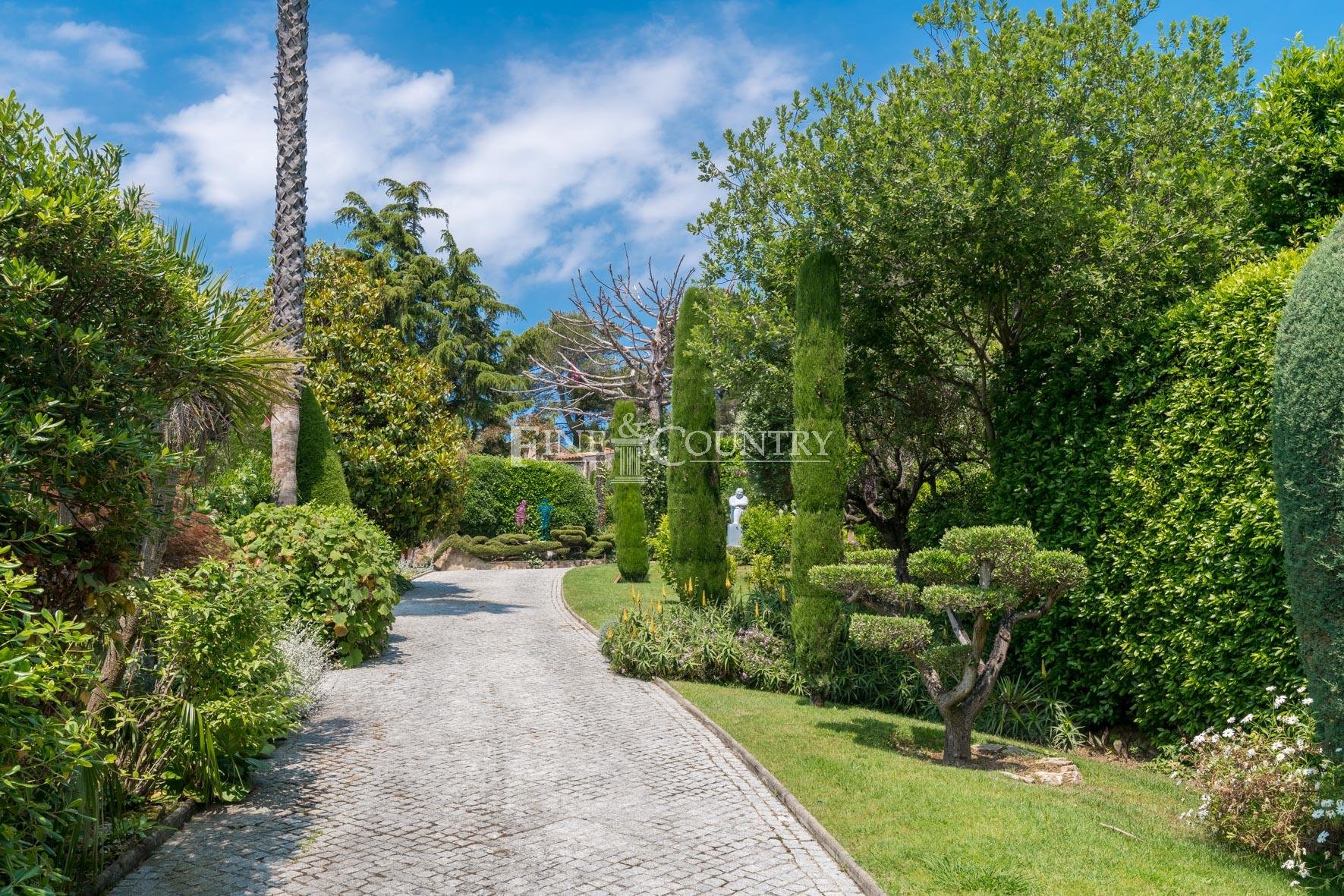 Overig - Cannes -  