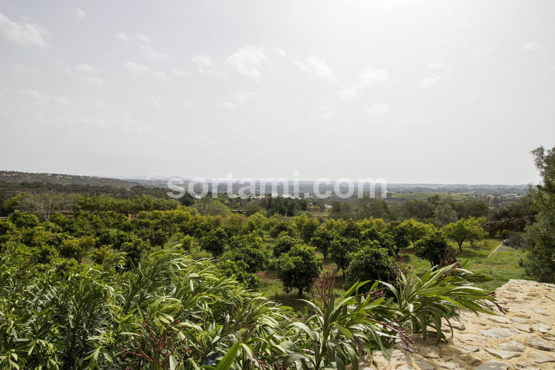 Overig - Paderne -  