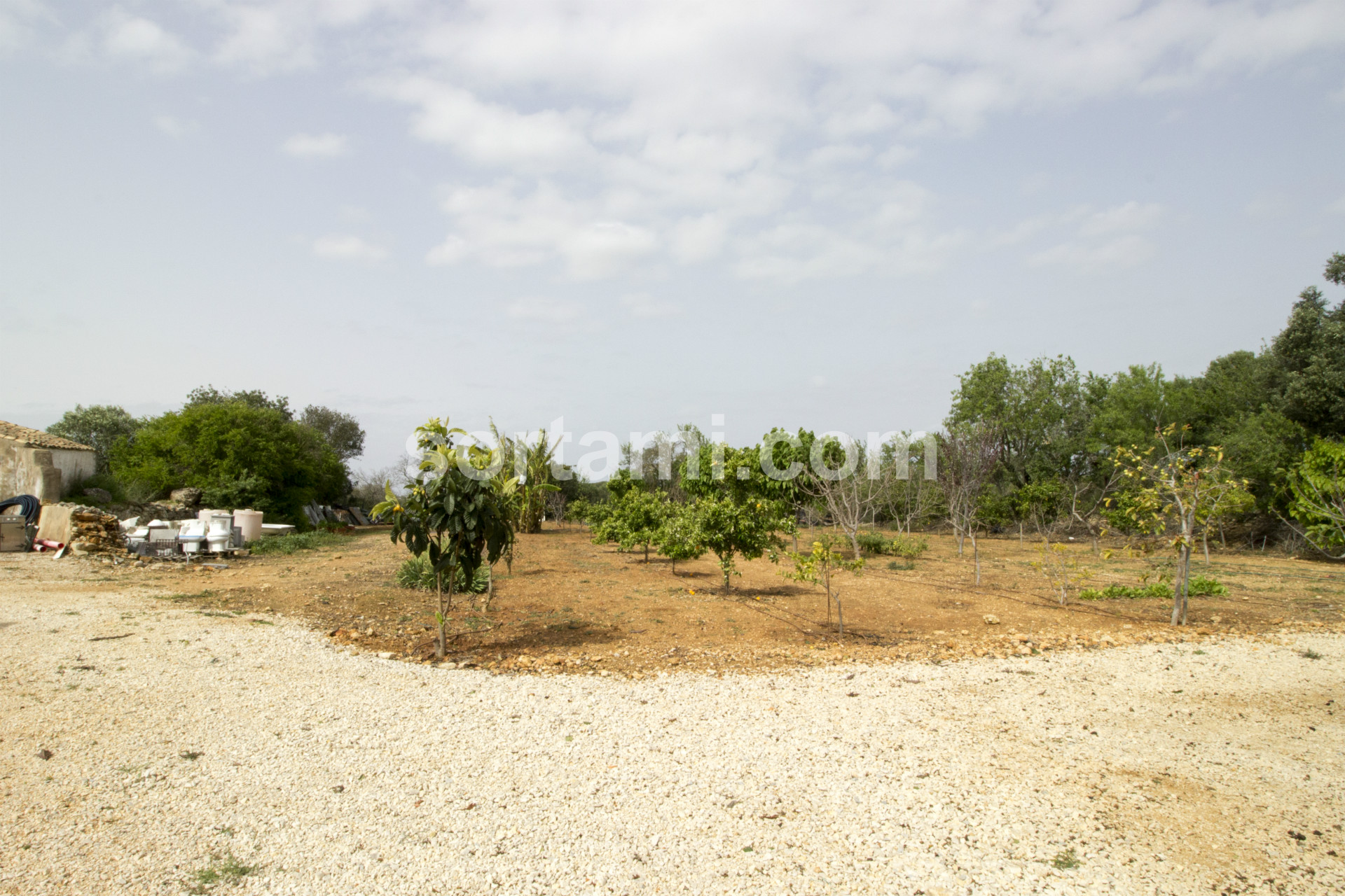 Overig - Paderne -  