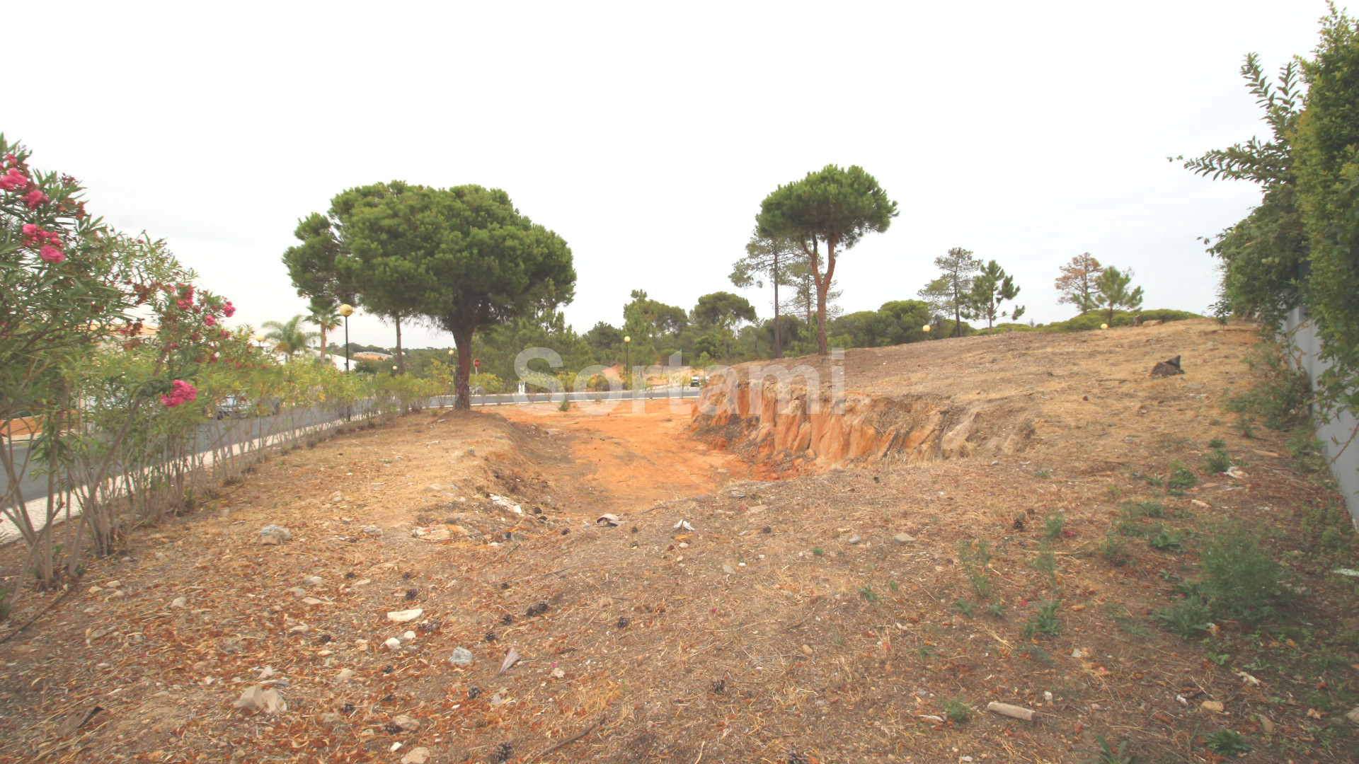 Overig - Almancil -  