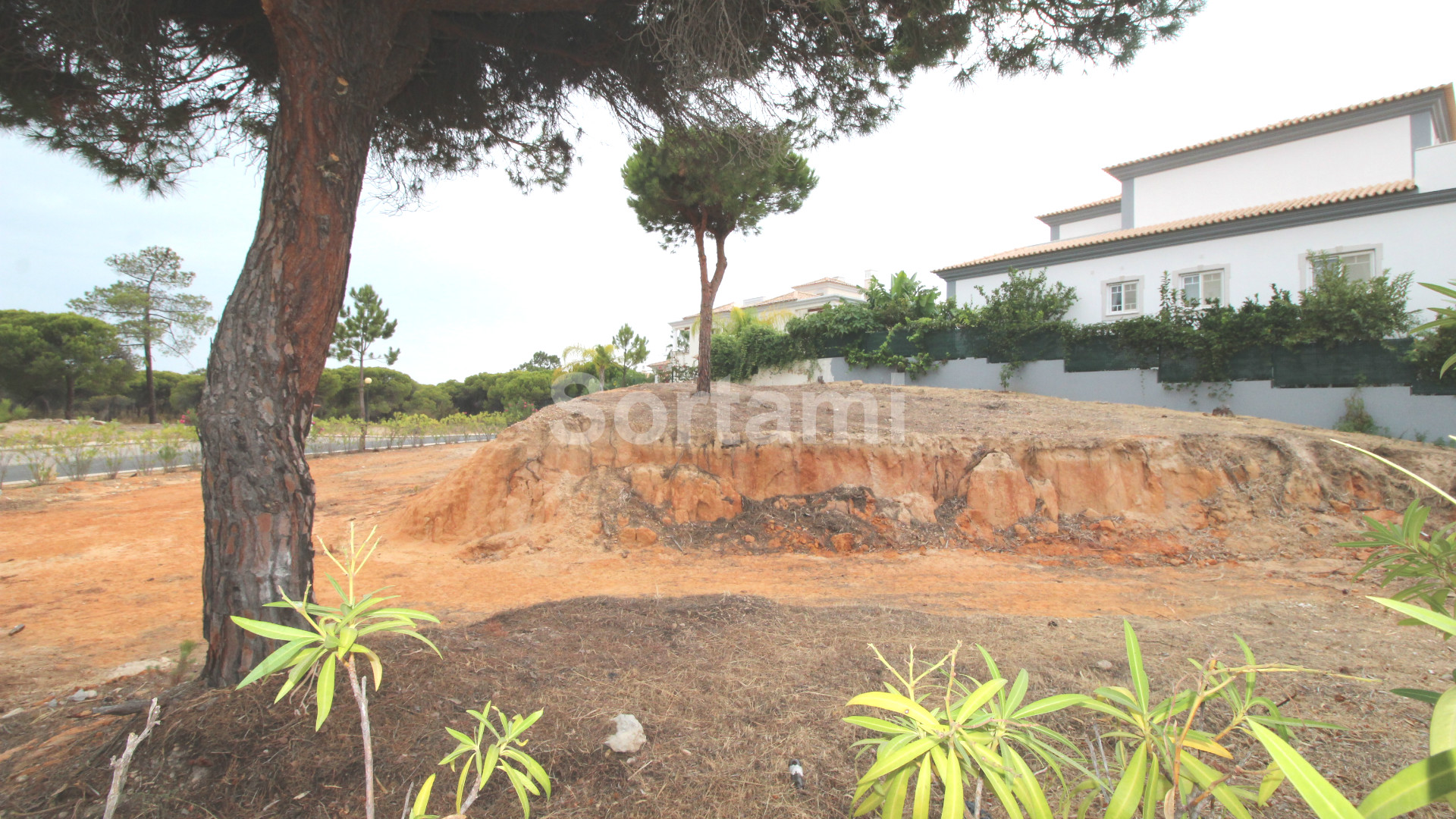 Overig - Almancil -  