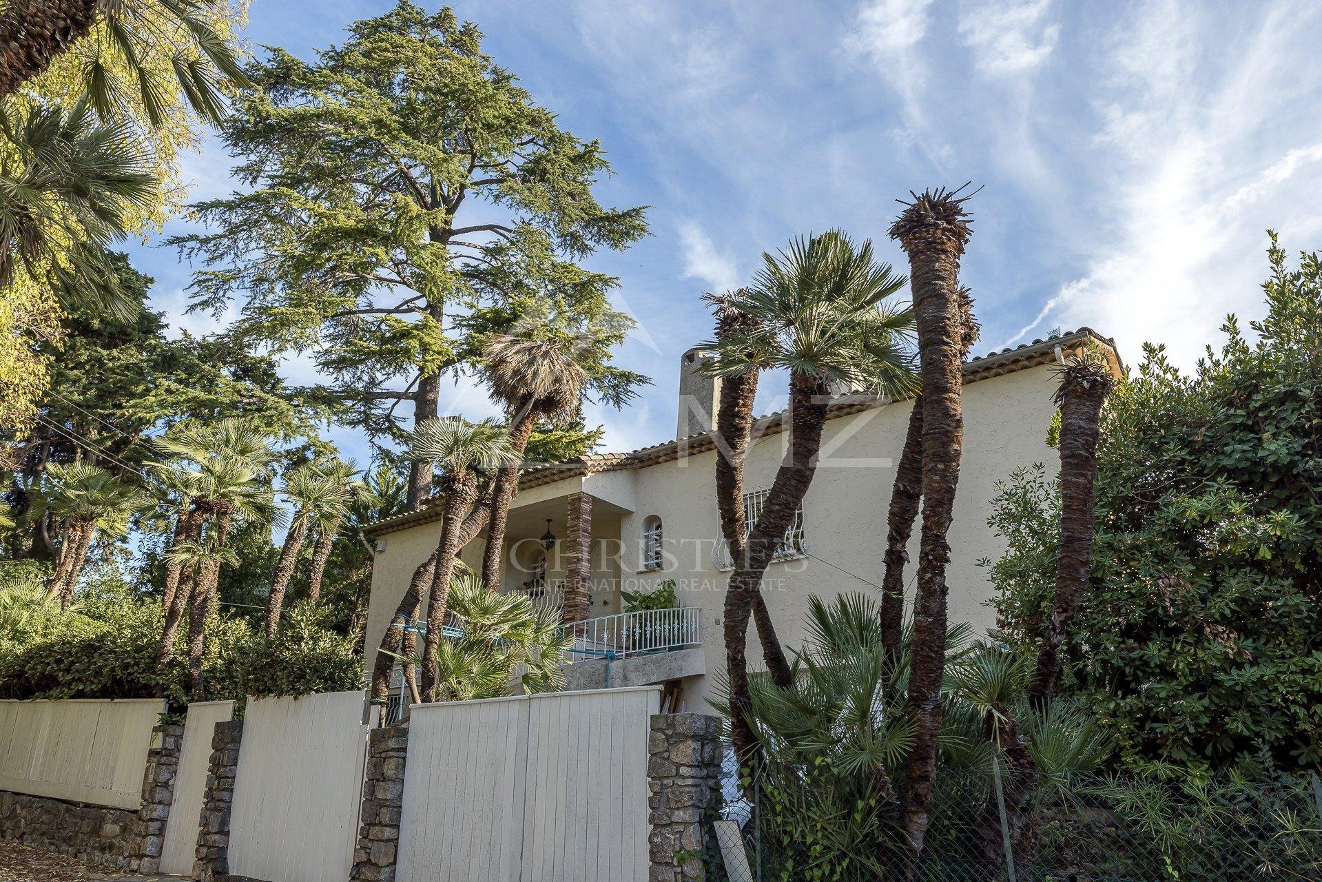Overig - Cannes -  