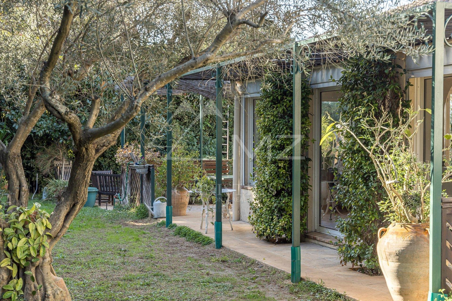 Overig - Cannes -  