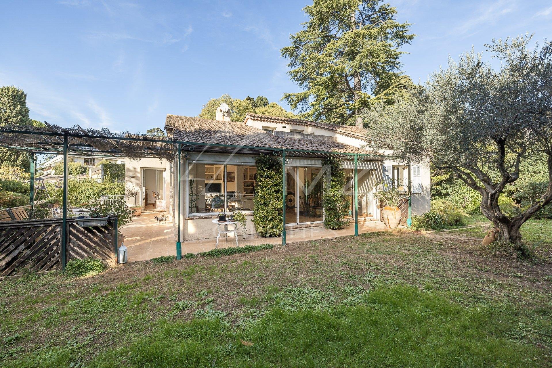 Overig - Cannes -  