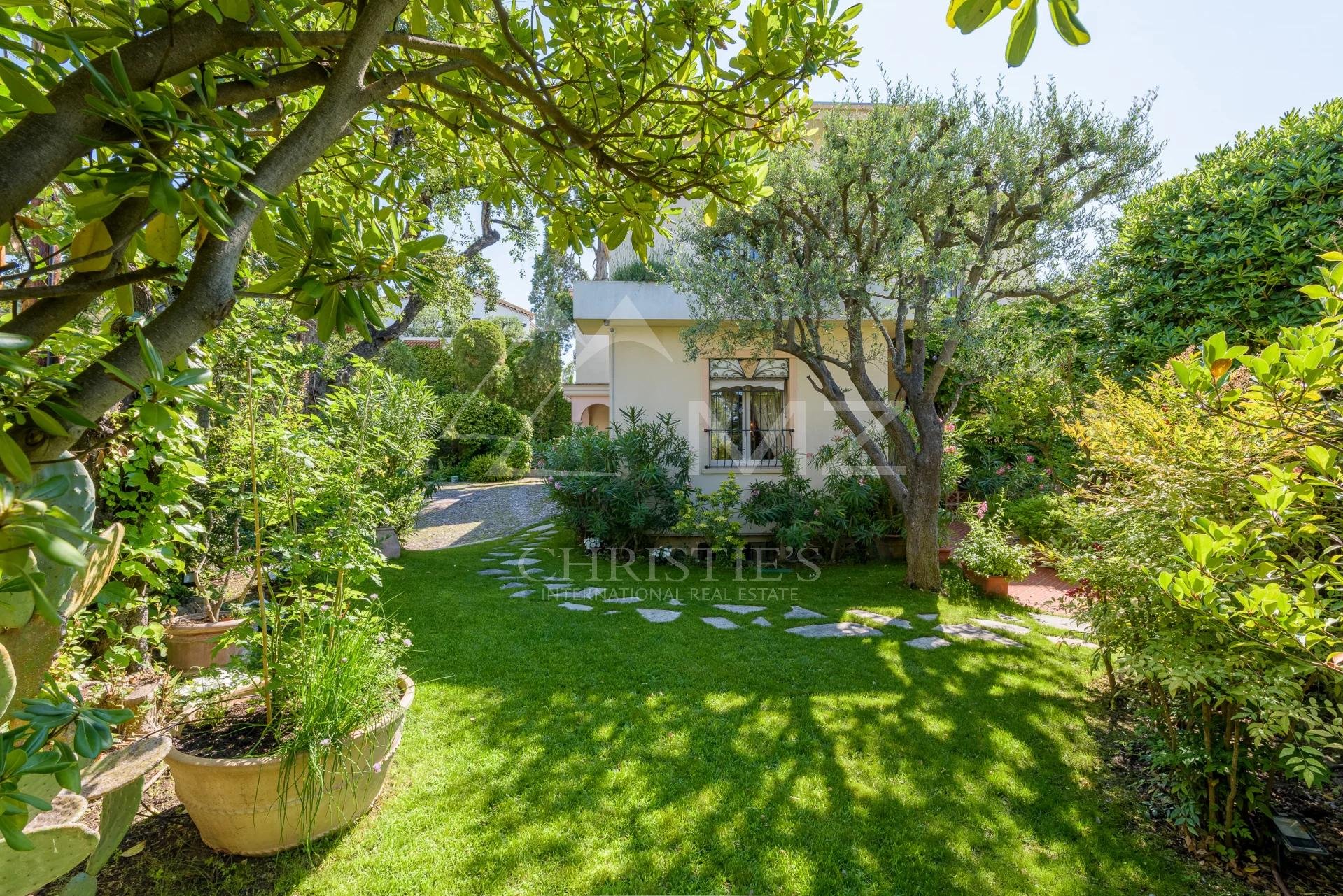 Overig - Cannes -  