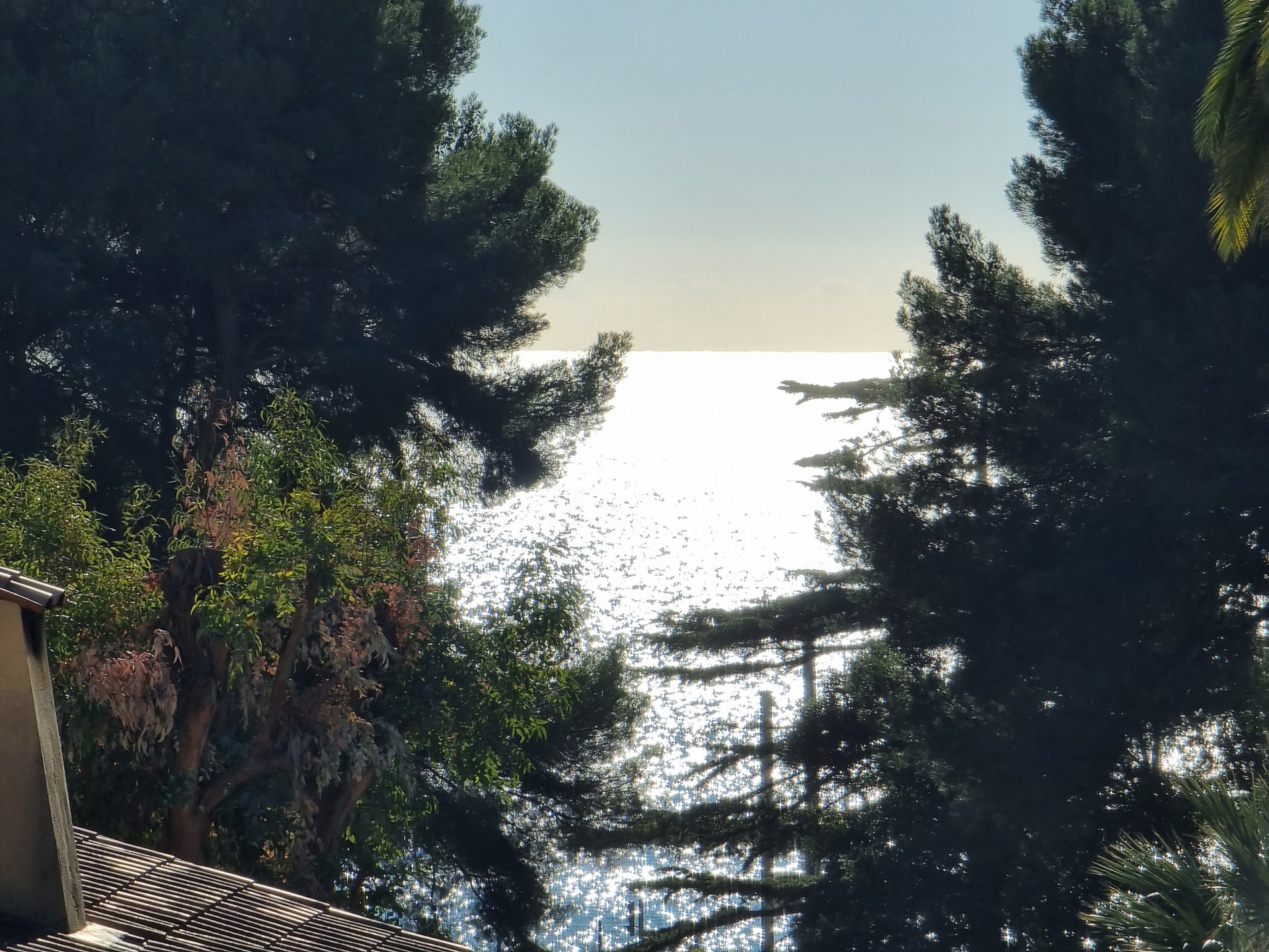 Overig - Cannes -  
