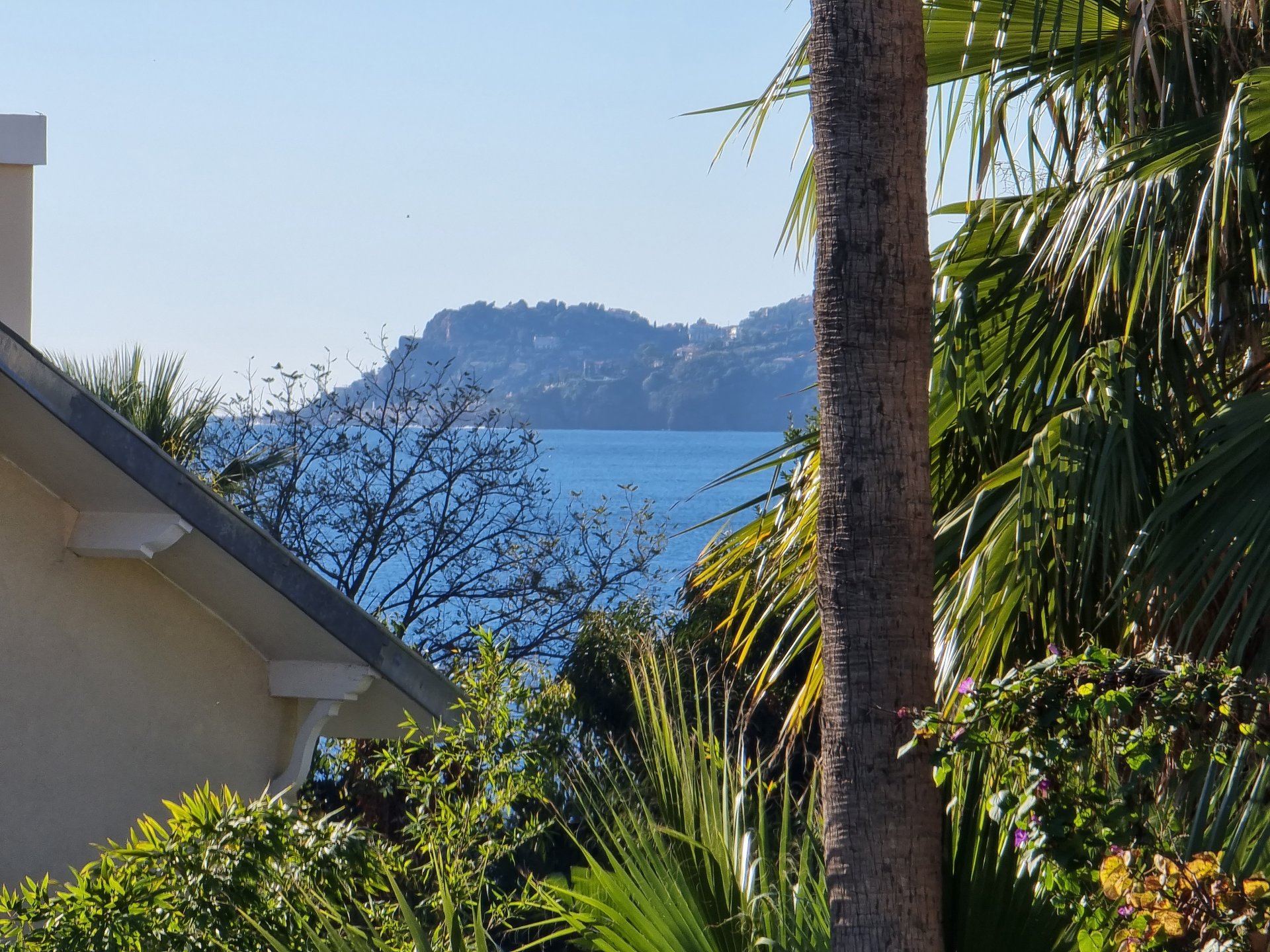 Overig - Cannes -  